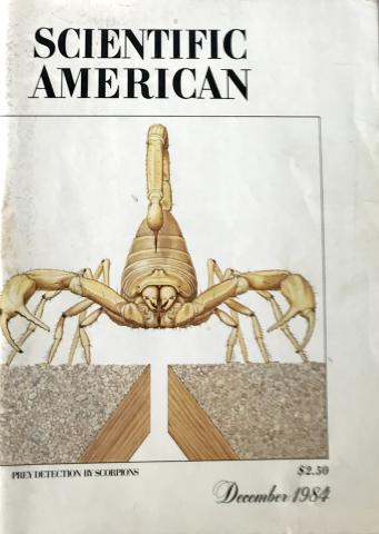 Scientific American