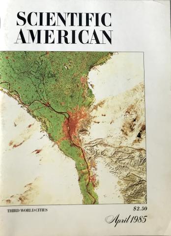 Scientific American
