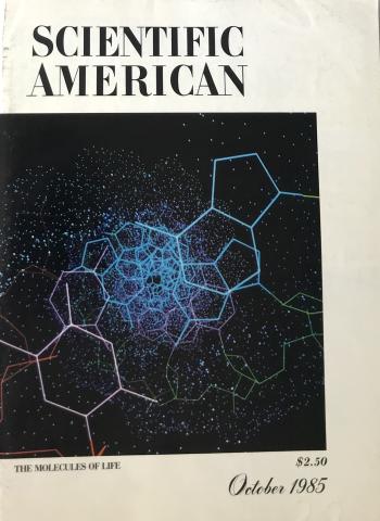 Scientific American