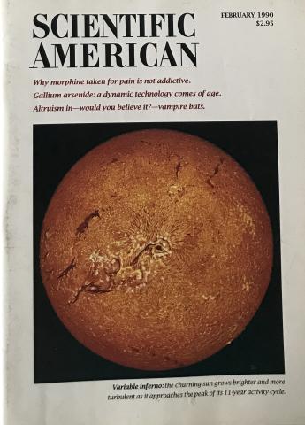 Scientific American