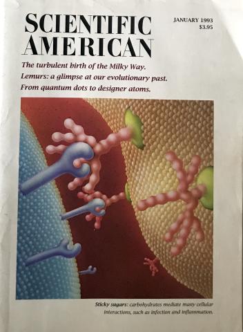 Scientific American