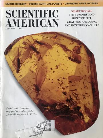 Scientific American