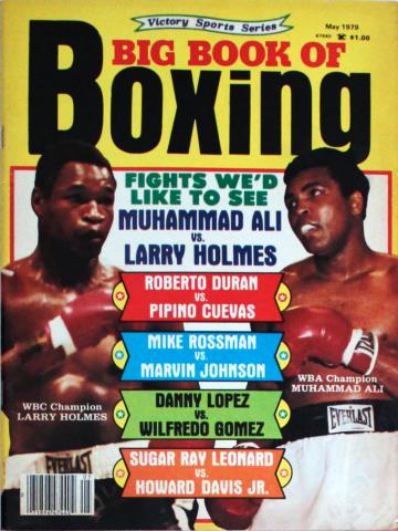 Big Book of Boxing