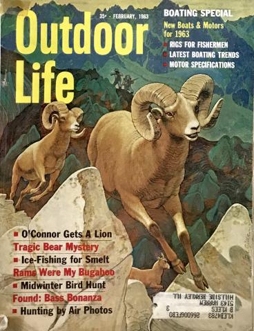 Outdoor Life
