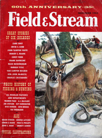 Field & Stream