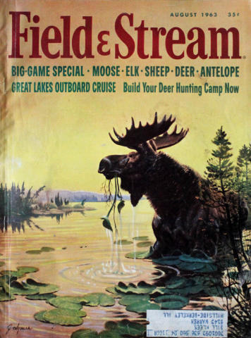 Field & Stream