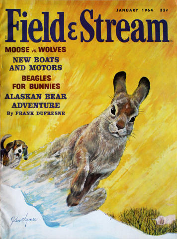 Field & Stream