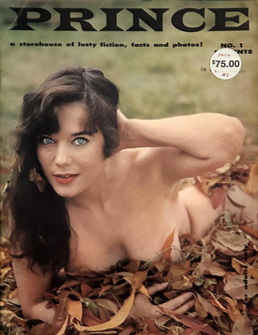 Prince Vintage Adult Magazine