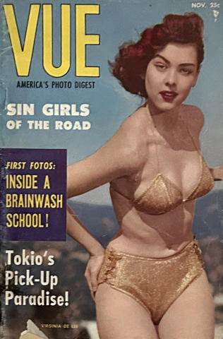 Vue America's Photo Digest Vintage Adult Magazine