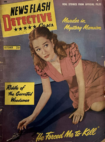 News Flash Detective Cases