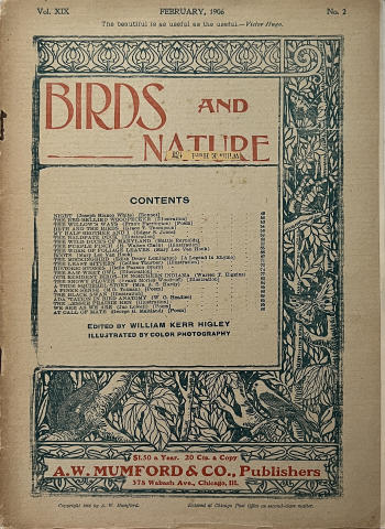 Birds and Nature