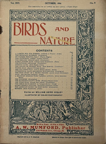 Birds and Nature