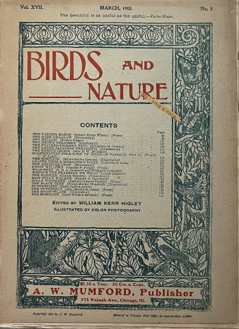 Birds and Nature