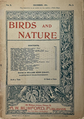 Birds and Nature