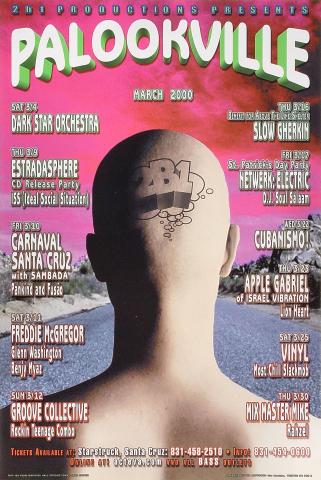 Dark Star Orchestra Poster