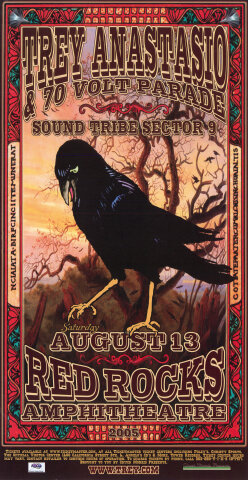 Trey Anastasio Poster