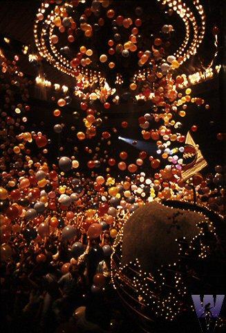 Deadheads Fine Art Print