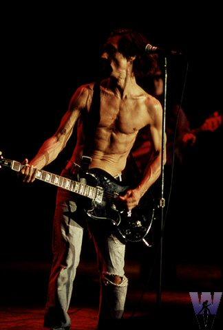 Iggy Pop Fine Art Print