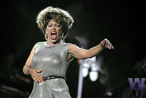 Tina Turner Fine Art Print