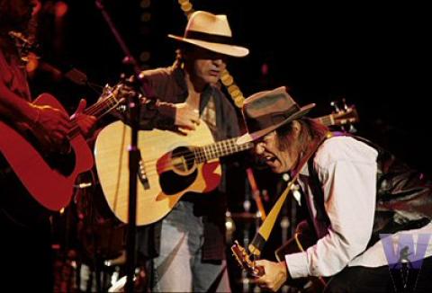 Neil Young & Crazy Horse Fine Art Print