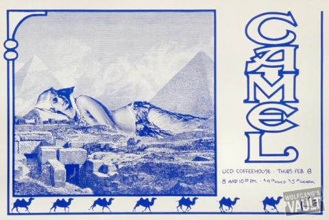 Camel Poster