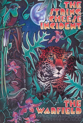 The String Cheese Incident Poster