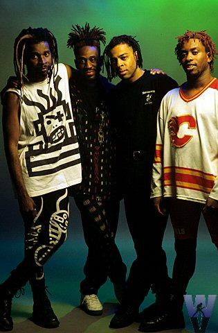Living Colour Fine Art Print