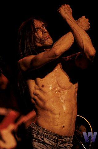 Iggy Pop Fine Art Print