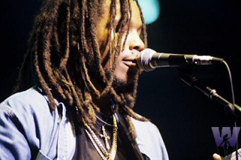 Stephen Marley Fine Art Print
