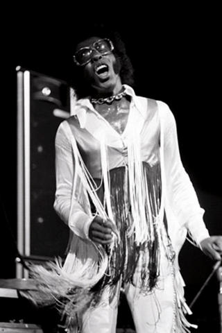 Sly Stone Fine Art Print