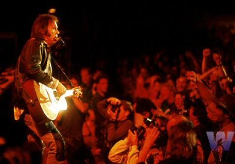 Neil Young Fine Art Print