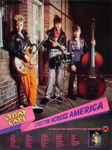 Stray Cats Poster