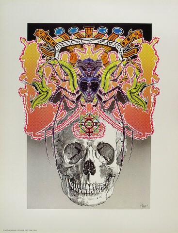 The Skull Poster