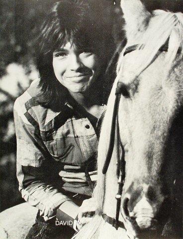 David Cassidy Poster