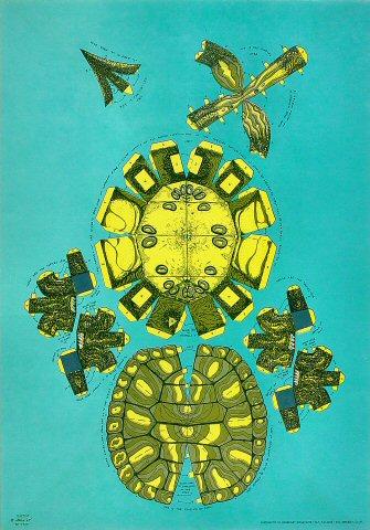Turtle Poster