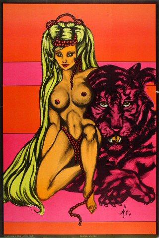 The Princess and The Tiger Poster