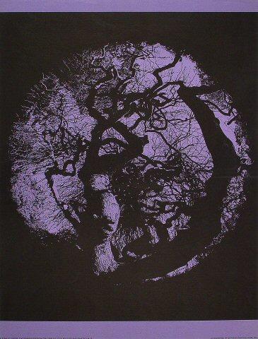 Oak Tree Poster