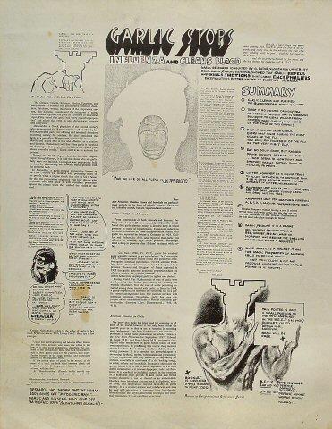 Garlic Stops Influenza and Cleans Blood Poster