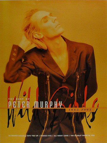 Peter Murphy Poster