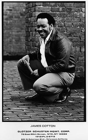 James Cotton Promo Print