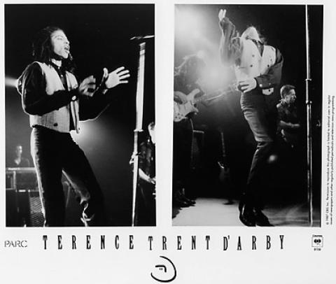 Terence Trent D'Arby Promo Print