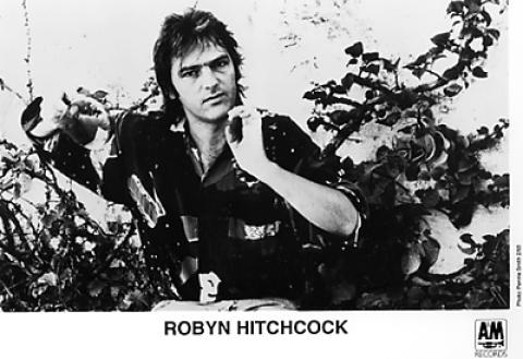 Robyn Hitchcock Promo Print