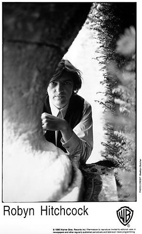Robyn Hitchcock Promo Print