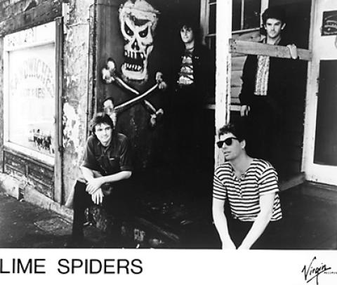 Lime Spiders Promo Print