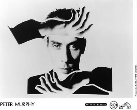 Peter Murphy Promo Print