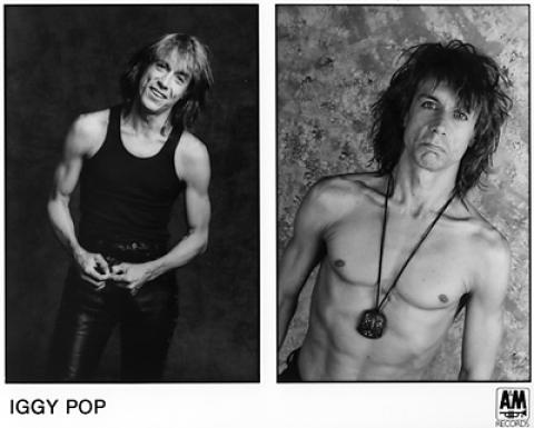 Iggy Pop Promo Print