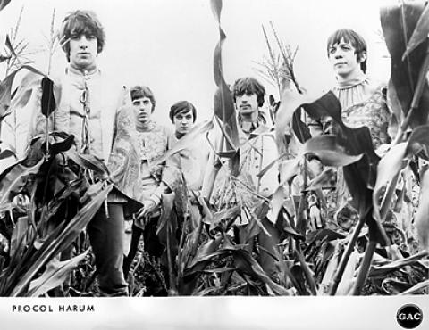 Procol Harum Promo Print