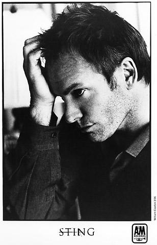 Sting Promo Print