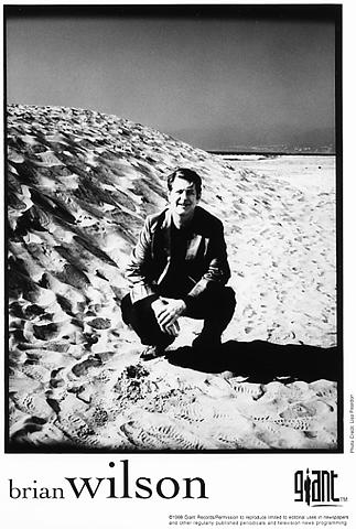 Brian Wilson Promo Print