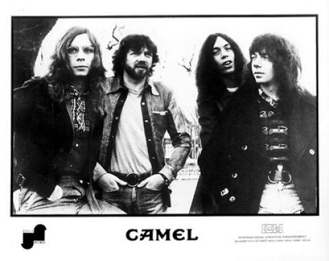 Camel Promo Print